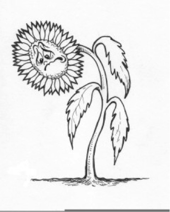 geopathic stress on plants