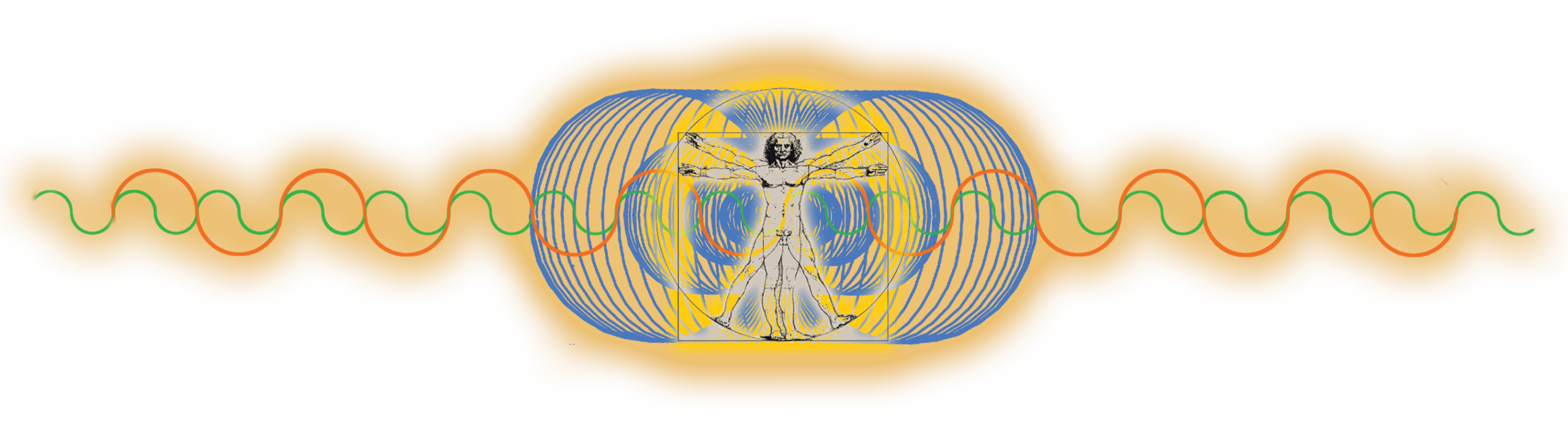 Wild Mountain Turtle