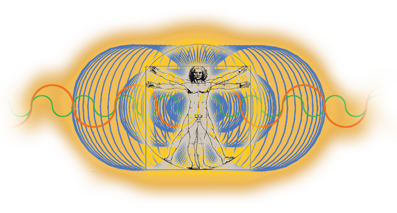 Wild Mountain Turtle